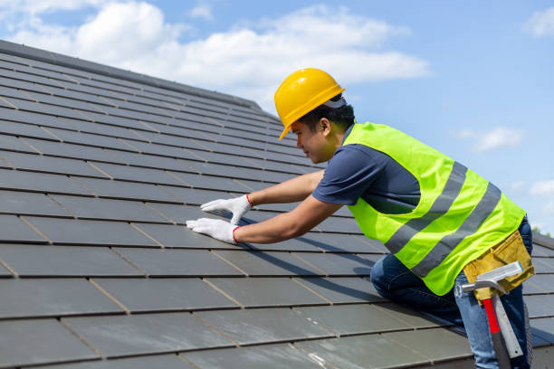 Best Roofing Contractor Near Me  in South Rockwood, MI