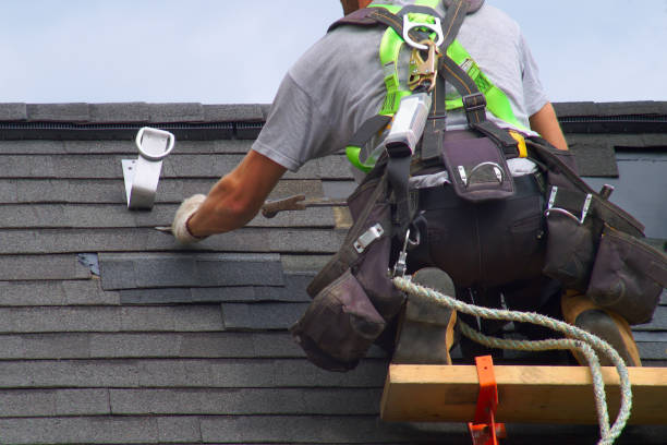 Best Best Roofing Contractors  in South Rockwood, MI