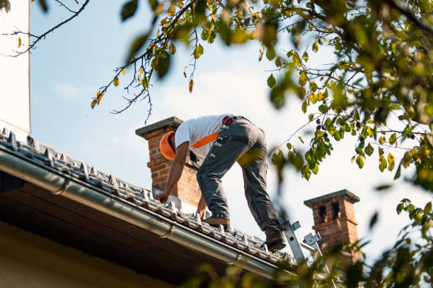 Best Roof Restoration Services  in South Rockwood, MI