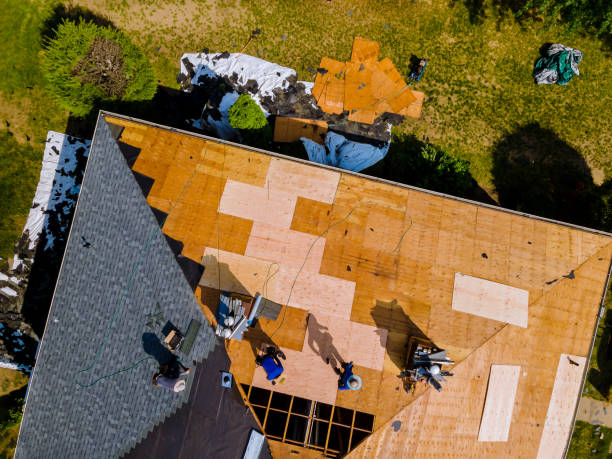 Best Roof Repair Services  in South Rockwood, MI