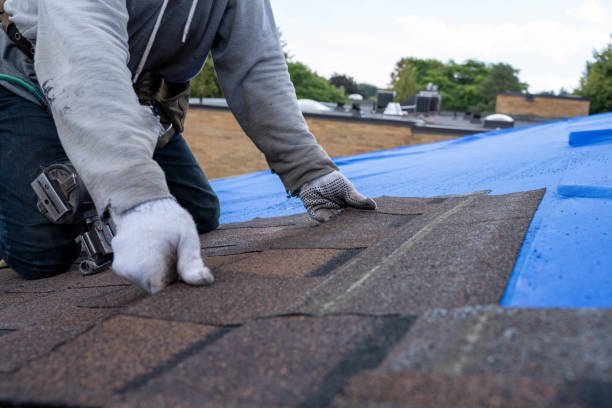 Tile Roofing Contractor in South Rockwood, MI