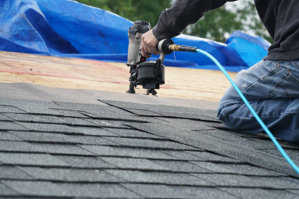 Best Roof Maintenance Services  in South Rockwood, MI