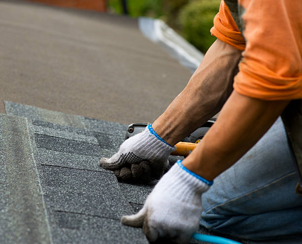 South Rockwood, MI Roofing Contractor Company