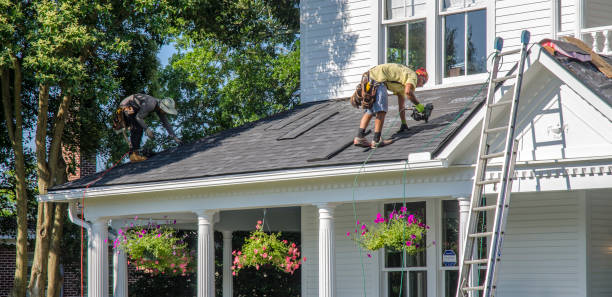 Best Residential Roofing Contractor  in South Rockwood, MI