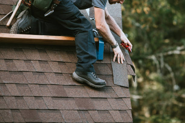 Gutter Installation and Roofing in South Rockwood, MI